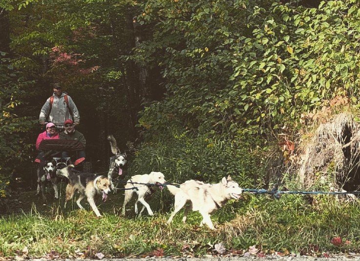 2 Mile Cart Tour