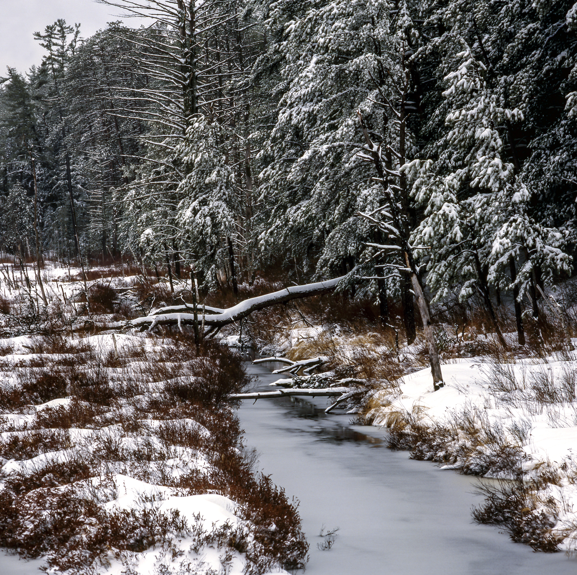new hampshire white mountains