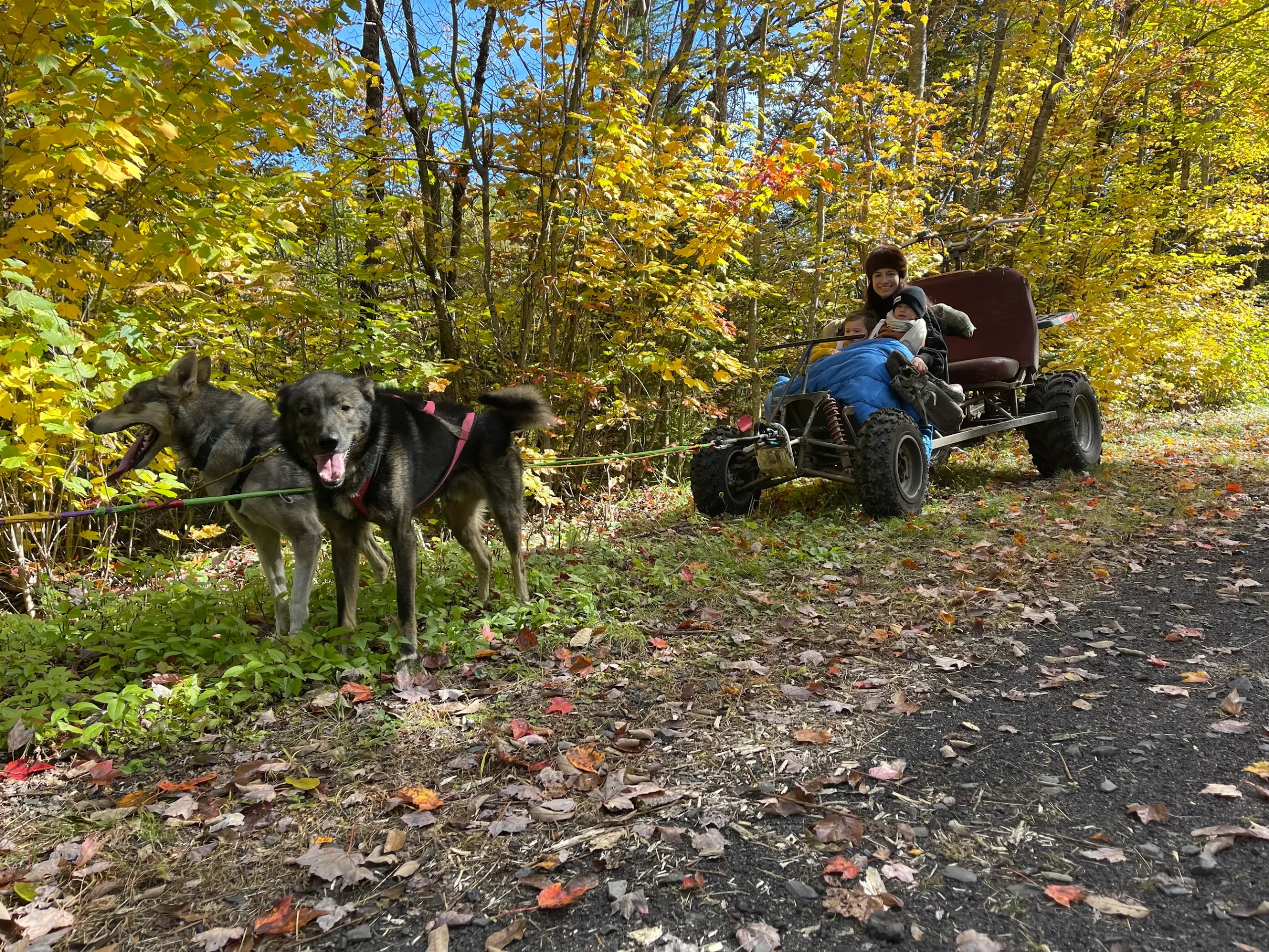 2 Mile Cart Tour